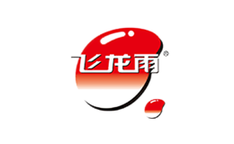貴州飛龍雨綠色實業有限公司
