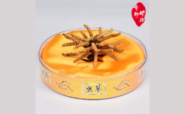 寧波索郎頓株商貿有限公司