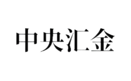 中央?yún)R金投資有限責(zé)任公司